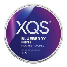 XQS XQS Blueberry Mint 4 MG