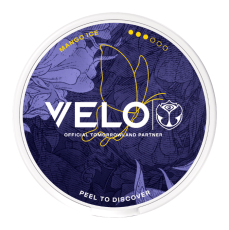 VELO VELO Mango Ice Tomorrowland